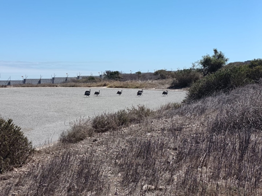 Commercial Property for Sale in Hoogland Western Cape